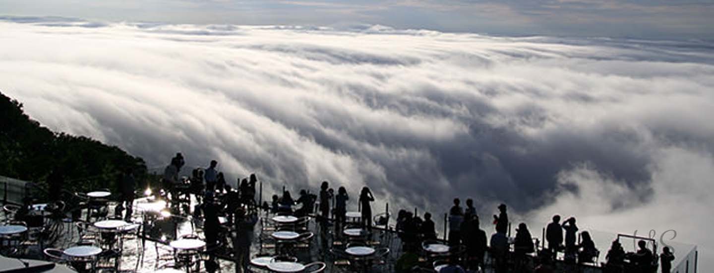 The café closest to heaven on earth
