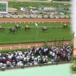 Kingfisher ultra Derby