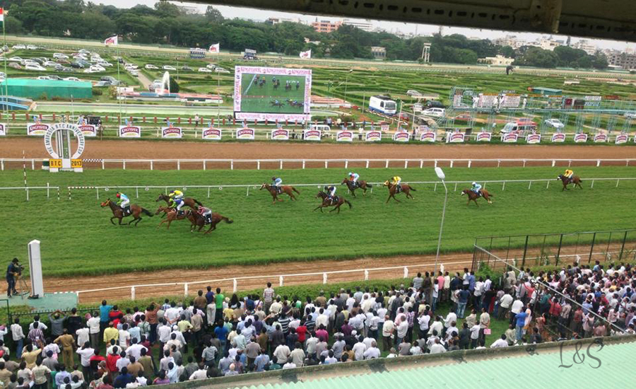 Kingfisher ultra Derby